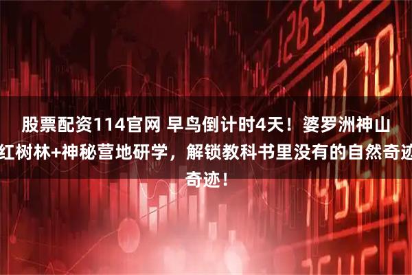 股票配资114官网 早鸟倒计时4天！婆罗洲神山+红树林+神秘营地研学，解锁教科书里没有的自然奇迹！